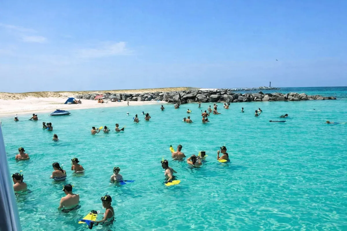 Snorkelers in clear shallow water beside a boat on a Shell Island Florida snorkeling tour with two stops and dolphin watching near Panama City Beach